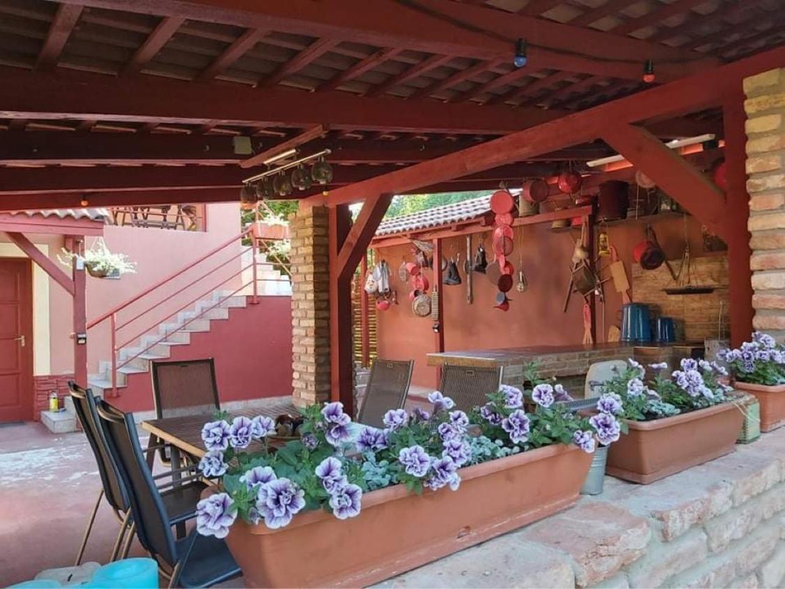 Nyirjes Vendeghaz Hotel Balassagyarmat Luaran gambar