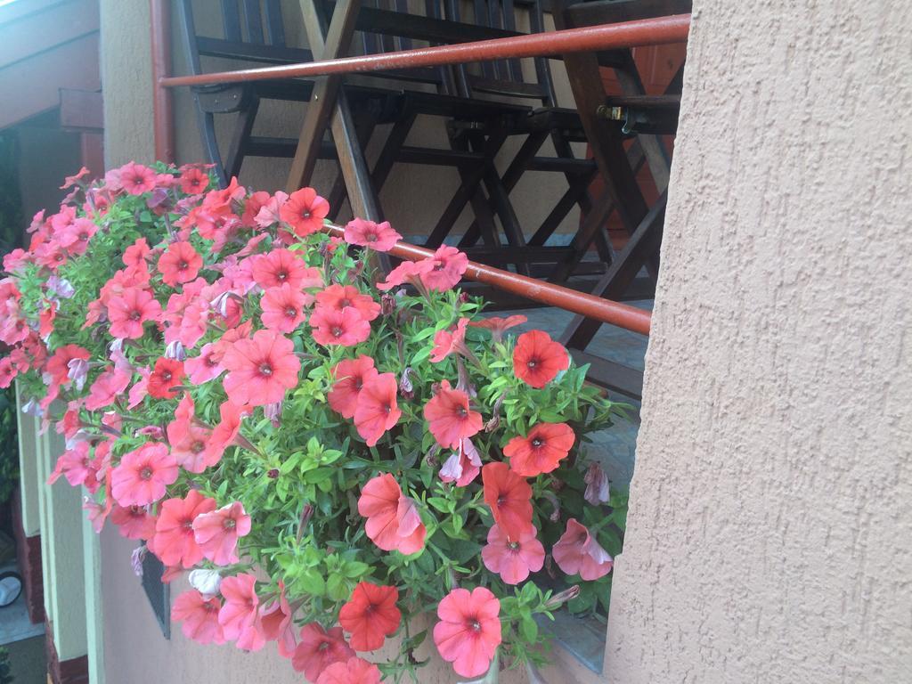 Nyirjes Vendeghaz Hotel Balassagyarmat Luaran gambar
