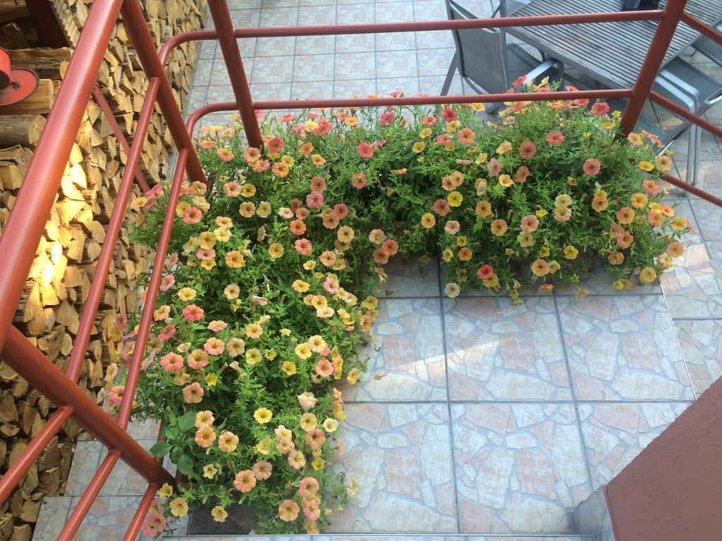 Nyirjes Vendeghaz Hotel Balassagyarmat Luaran gambar