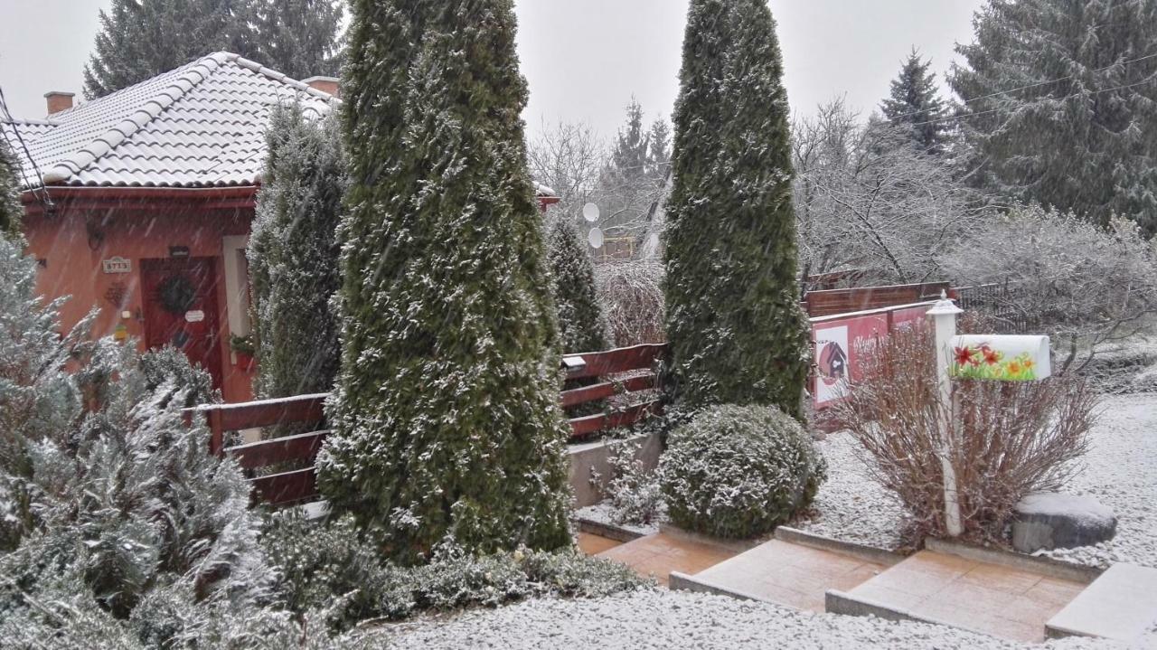 Nyirjes Vendeghaz Hotel Balassagyarmat Luaran gambar